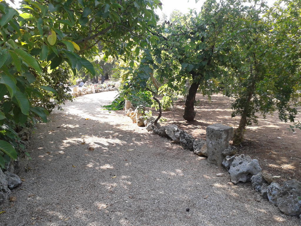 كاربينيانو سالينتينو Tenuta La Spezia المظهر الخارجي الصورة