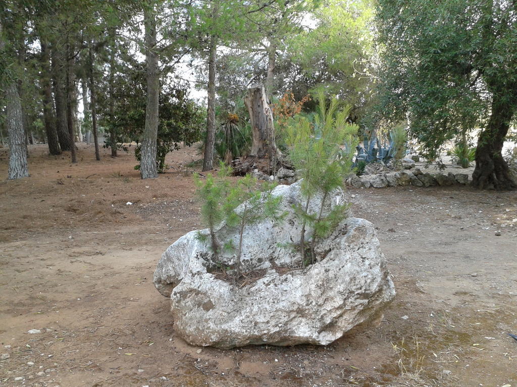كاربينيانو سالينتينو Tenuta La Spezia المظهر الخارجي الصورة